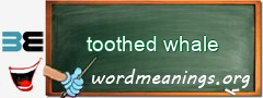 WordMeaning blackboard for toothed whale